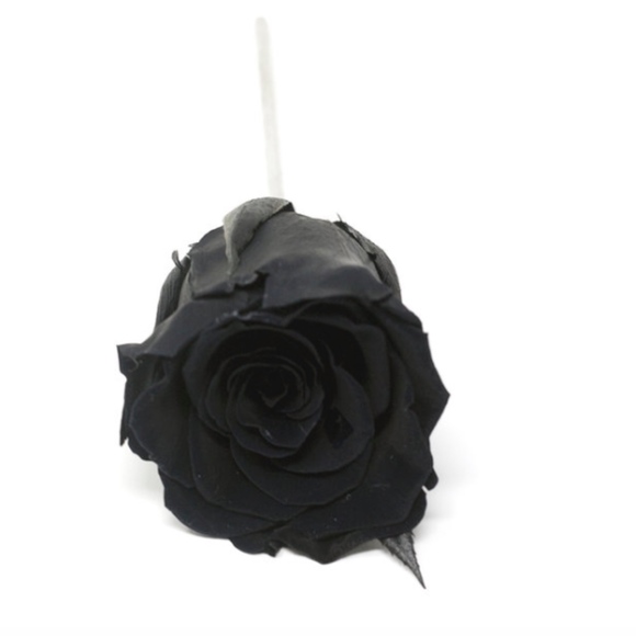 Black Rose Box - Picture 3 of 8